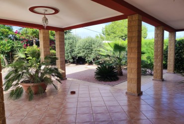 Finca - Alquiler - Dolores - Alicante