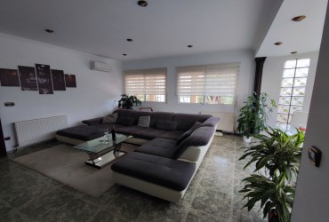 Finca - For rent - Dolores - Alicante