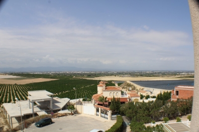 Villa - Alquiler - Algorfa - Alicante