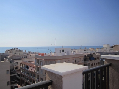 Apartamento - Alquiler - Guardamar del Segura - Alicante